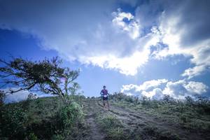 BIB: 5172
                            <button type="button" onclick="openModal(15955476)" class="btn btn-primary btn-sm float-right btn-popup" data-toggle="modal" data-target=".modal-high-quality">
                        <i class="fas fa-shopping-cart"></i> Add to Cart
                    </button>
                                            <button type="button" onclick="isThisMe(15955476, true)" class="btn btn-success btn-sm float-right btn-popup btn-isme hidden" data-toggle="tooltip" data-placement="bottom" title="นี่คือรูปของคุณใช่ไหม คลิกที่นี่เพื่อเอาเข้าอัลบั้ม">
                        <i class="fas fa-plus"></i> Add to album
                    </button>
                    <button type="button" onclick="isThisMe(15955476, false)" class="btn btn-warning btn-sm float-right btn-popup btn-isnotme hidden">
                        <i class="fas fa-ban"></i> Remove from album
                    </button>